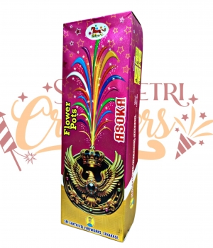 Vetri Crackers